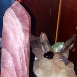 Meet your Posher, Priya